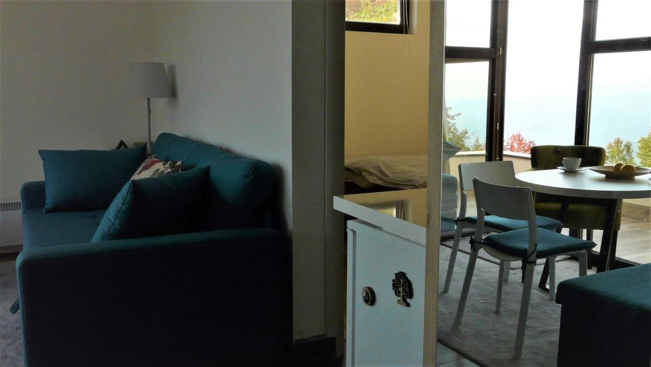 Apartman D52 Dvori Kopaonik Kültér fotó