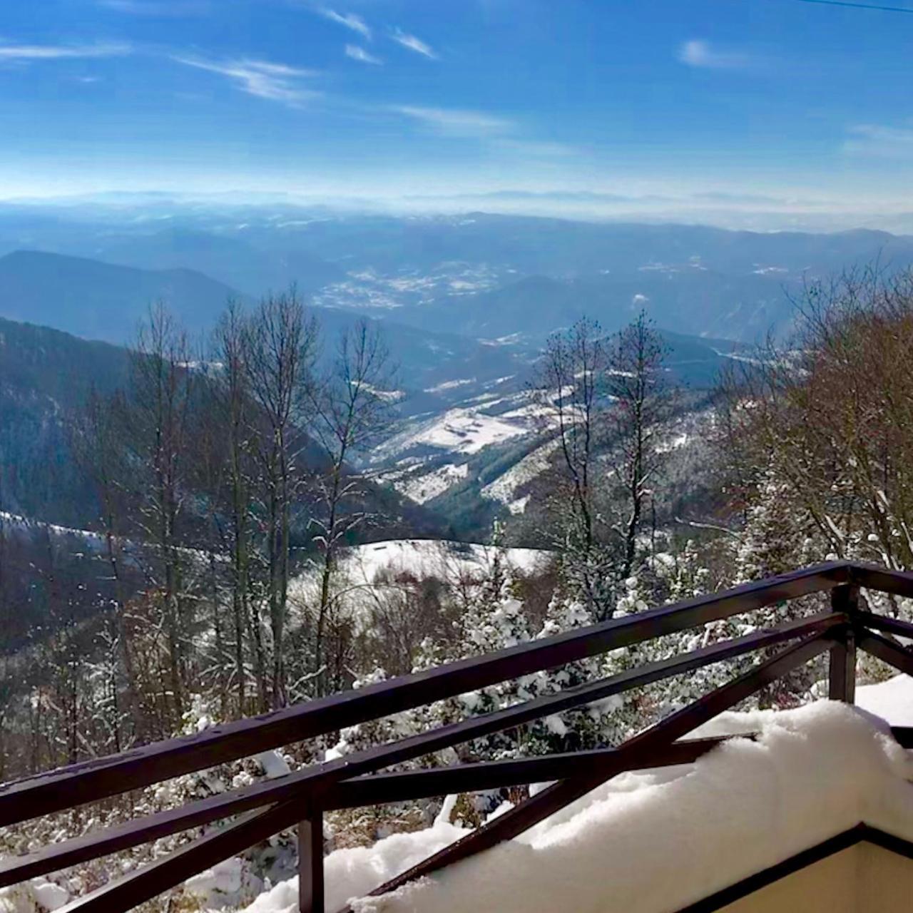 Apartman D52 Dvori Kopaonik Kültér fotó
